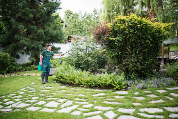 Best Pest Inspection Near Me  in Marcellus, MI