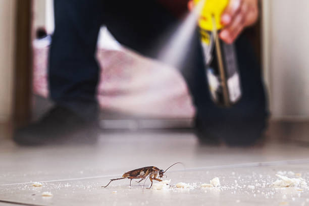 Best Insect Control  in Marcellus, MI
